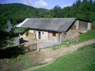 Сновидів з panoramio.com