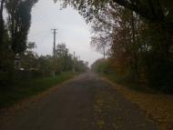 Левадки з panoramio.com