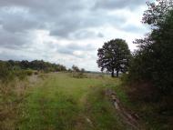 Павликівка з panoramio.com