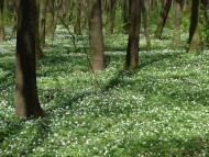 Підбірці з panoramio.com