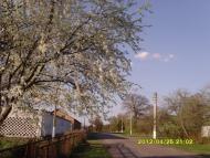 Сонячне з panoramio.com