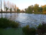 Саврань з panoramio.com