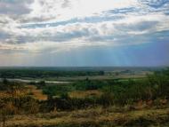 Рибці - Останні фото