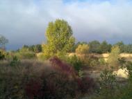 Yegorivka - Latest photos