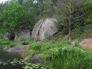 Струмок з panoramio.com