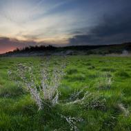 Вовчанські Хутори з panoramio.com