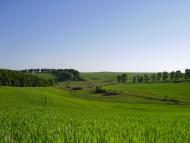 Красносілка з panoramio.com