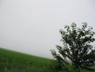 Ракова з panoramio.com