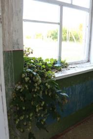 с. Гутище и его обитатели