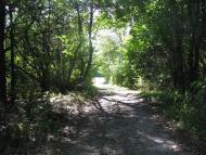 Яреськи з panoramio.com