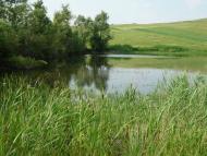 Ярівка з panoramio.com