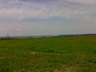 Вила з panoramio.com - Vyla