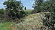 Цупки з panoramio.com - Цупки