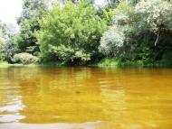 Лабурівка з panoramio.com