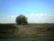 Рибчинці з panoramio.com