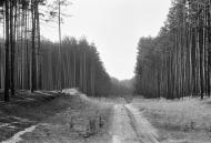 Червоний Донець з panoramio.com - Червоный Донец