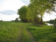 Озаричі з panoramio.com