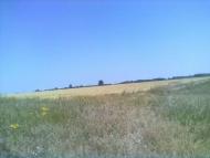 природа села