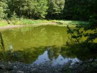 Олійники з panoramio.com