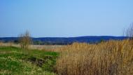 Мошни з panoramio.com - Moshny