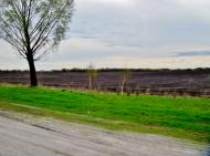 Пінчуки з panoramio.com