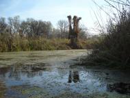 Андріївка з panoramio.com