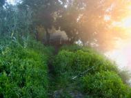 Шубіне з panoramio.com