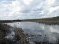 Олександрівка з panoramio.com