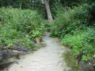 Пиротчине з panoramio.com