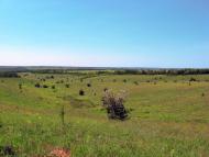 Придніпрянське з panoramio.com