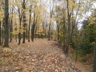 Плавинище з panoramio.com