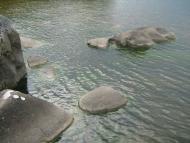 Домоткань з panoramio.com