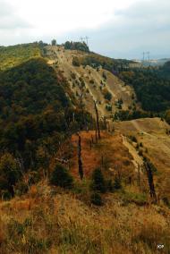 Тюшка з panoramio.com