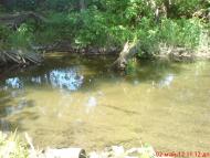 Павлівка з panoramio.com