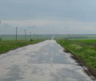 Білоскелювате з panoramio.com