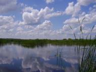 Гатна з panoramio.com