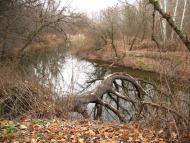 Маячка з panoramio.com