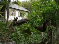 Перевіз з panoramio.com