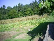 Сновидів з panoramio.com