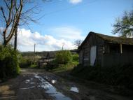 Сприсівка з panoramio.com