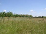 Кам'яне з panoramio.com