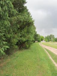 Самари-Оріхові з panoramio.com