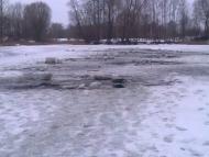 Гужівка з panoramio.com