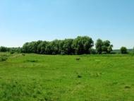 Велика Солтанівка з panoramio.com