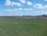 Червоний Орлик з panoramio.com