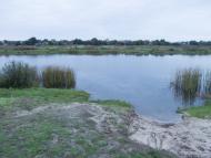 Пилиповичі з panoramio.com