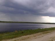 Березина з panoramio.com