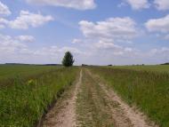 Красносілка з panoramio.com