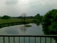 Полянь з panoramio.com