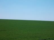 Червоний Орлик - Останні фото